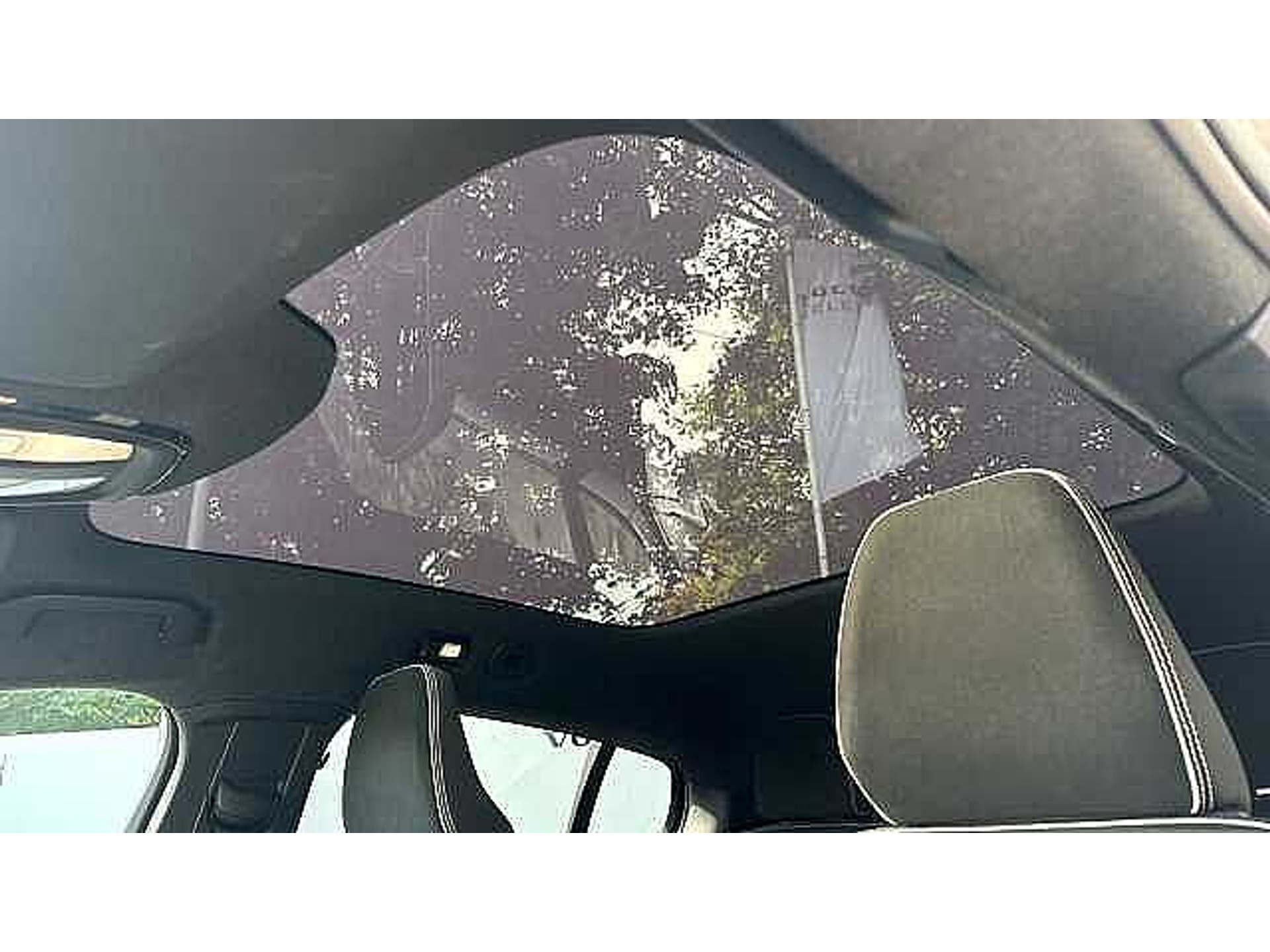 Volvo C40 Recharge Ultimate, Single Motor Extended Range, Elektrisch 48482157-22.jpg | ACB Woluwe